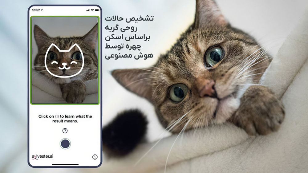 برنامه هوش مصنوعی CatsMe؛ تشخیص‌دهنده درد از روی چهره