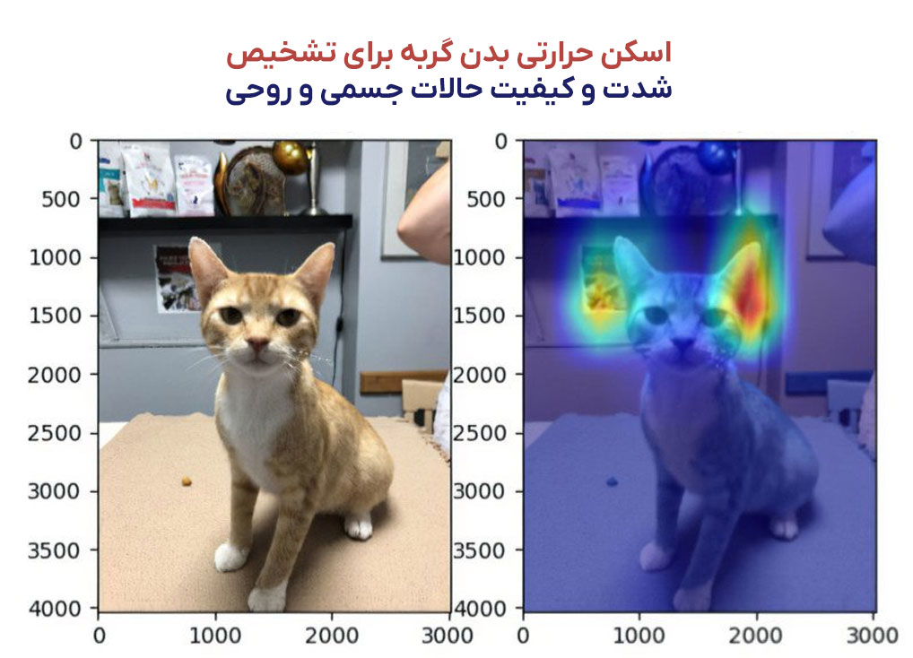 مزایای هوش مصنوعی در دامپزشکی