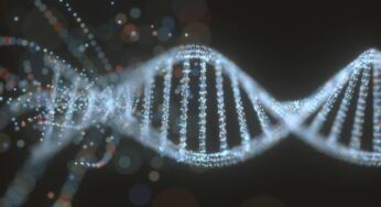 epi-bit؛ تحولی نوین در ذخیره‌سازی DNA با الهام از اپی‌ژنتیک
