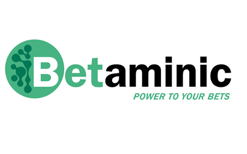سایت Betaminic AI