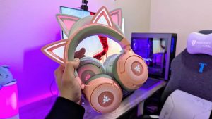 قیمت kraken kitty