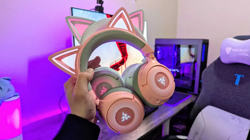 قیمت kraken kitty