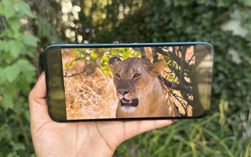 نمایشگر Nothing Phone 4b