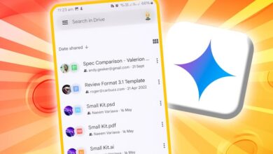 قابلیت سازمان‌دهی هوشمند فایل‌ها با Gemini