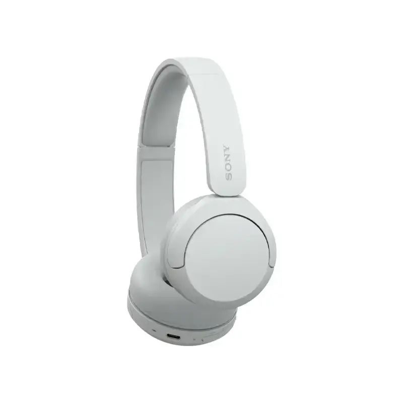 هدفون بی سیم سونی WH-CH520