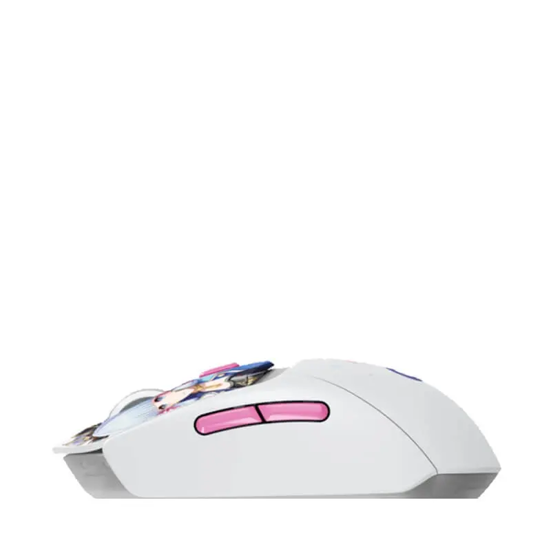 G309-1