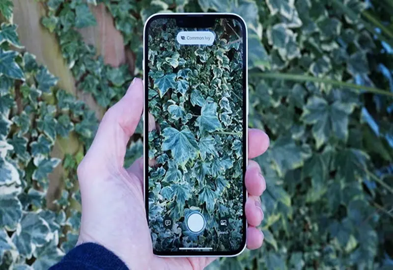 دوربین iPhone 16e HN