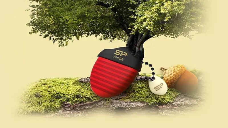 طراحی شبیه به بلوط در فلش سیلیکون پاور Jewel J30